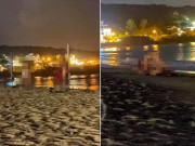 Tin tức - Hai cặp đôi ngang nhiên "mây mưa" tập thể trên bờ biển, người chứng kiến choáng váng