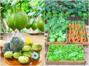 Nhà đẹp - Bỏ phố lấy chồng Đắk Lắk, nàng dâu choáng khi chồng dẫn ra "kho lương thực" 700m2 của gia đình