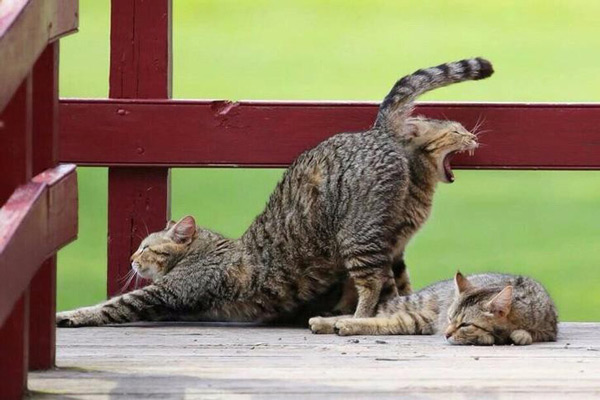 18 khoảnh khắc trùng hợp đến khó tin, khiến bạn không biết đâu là sự thật - 1