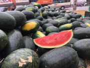 Sức khỏe - 8 thực phẩm dễ gây ngộ độc nhất nếu chế biến không đúng cách, nhiều người hay mắc phải