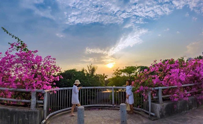 Hà Nội: Cây cầu hoa giấy bất ngờ bung nở trở lại, check-in “sương sương” có ngay ảnh đẹp! - 4
