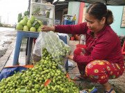Xem ăn chơi - Trái dại, rau mọc hoang hút hàng mùa nước nổi ở An Giang, dân đi hái kiếm tiền mùa lũ