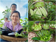 Nhà đẹp - Nữ nhân viên văn phòng mở đồi, bỏ tiền mua 10 con bò, giờ nhìn vườn cây ai cũng thèm