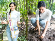 Sao Việt - Miss Earth Vietnam 2020 gây ấn tượng với dự án trồng cây ở rừng ngập mặn Cần Giờ