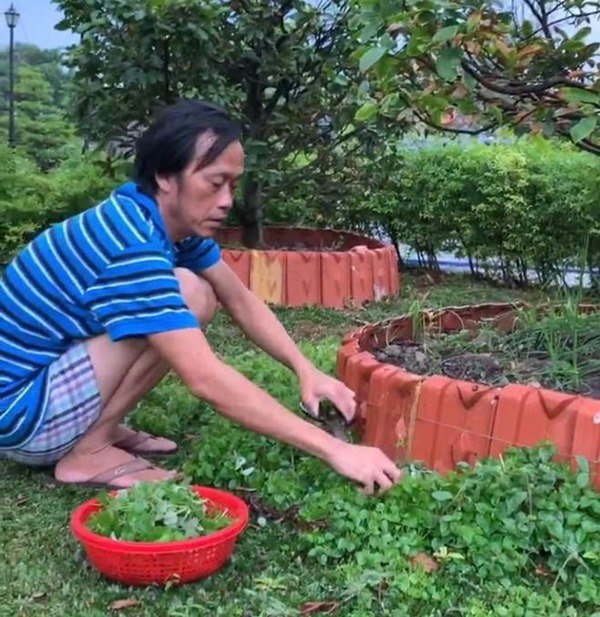 NSƯT Hoài Linh cả năm không đi diễn chỉ ở nhà thờ tổ, giờ nhìn thành quả mới bất ngờ - 1