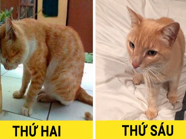 30 tuổi còn làm những điều này chỉ khiến tuổi 40 hối hận, ôm nuối tiếc