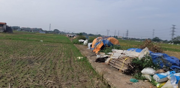 Nữ sinh mất tích ở Thường Tín: Trắng đêm tìm kiếm, đã thấy xe đạp và một số giấy tờ - 2