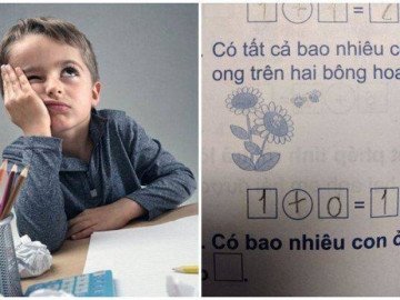 Bài toán lớp 1 đếm ong khiến phụ huynh bối rối vì đáp án