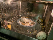 Sức khỏe - 12 thực phẩm bổ tới mấy mà cho vào lò vi sóng cũng thành "độc dược", đừng dại mà thử