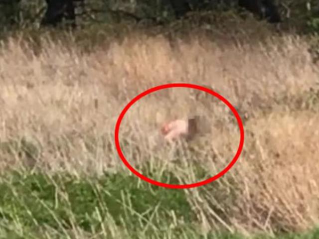 Bắt gặp mẹ và tình nhân mây mưa giữa cánh đồng, bé trai 6 tuổi gặp họa kinh hoàng