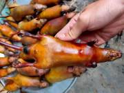 Tiêu dùng - Bản tin tiêu dùng: Thứ đặc sản đắt hơn thịt lợn, người dân đi bắt kiếm tiền triệu mỗi ngày