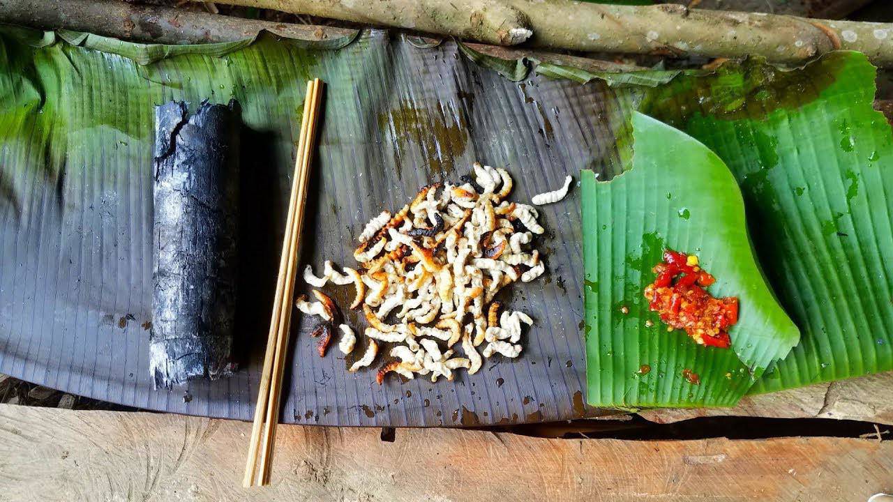 Nòng nọc, lá ngón và những đặc sản Tây Bắc độc lạ “thách thức” những tín đồ ẩm thực - 5