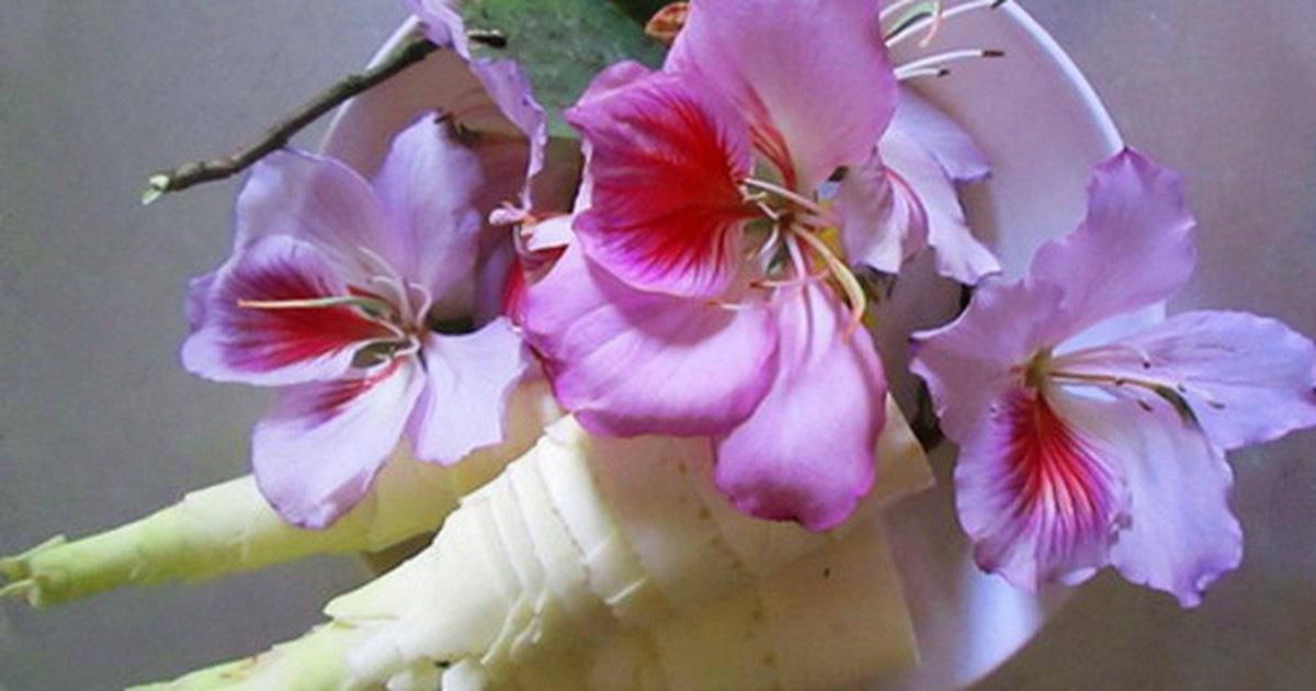 Nòng nọc, lá ngón và những đặc sản Tây Bắc độc lạ “thách thức” những tín đồ ẩm thực - 3