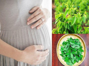 Bà bầu - Bà bầu ăn rau ngót được không, bầu 3 tháng đầu có nên dùng rau ngót?