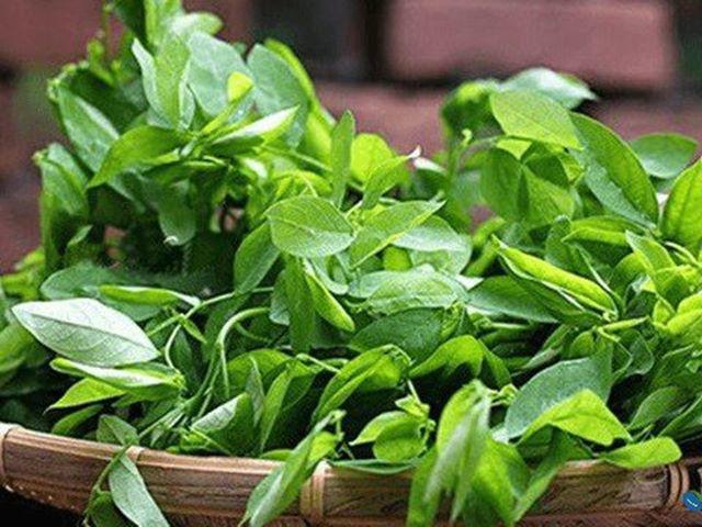 Những loại rau bà bầu không nên ăn, tránh gây sảy thai - 1