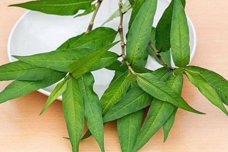 Những loại rau bà bầu không nên ăn, tránh gây sảy thai - 5