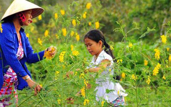 Dân phố về Cà Mau bắt loài cá kỳ lạ nhất hành tinh, mắt to thô lố, biết leo cây - 2