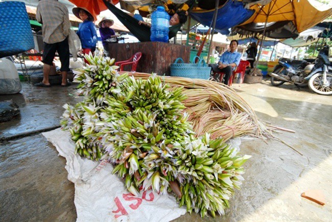 Lấy thứ trôi nổi khắp ao ở Việt Nam trồng, amp;#34;mở mắtamp;#34; là có tiền kiếm trăm triệu - 11