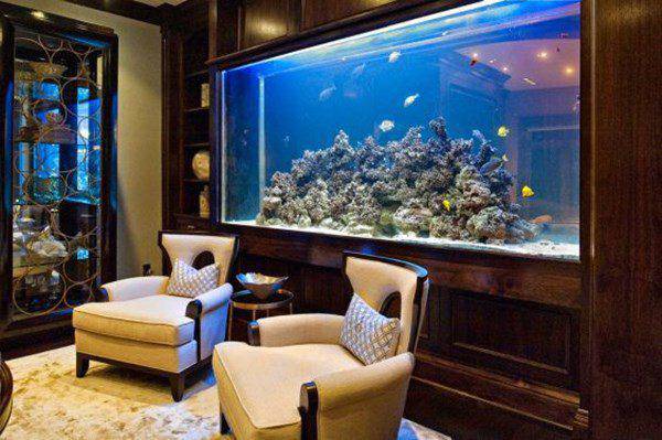 8 nguyên tắc vàng chọn nuôi cá cảnh để hút trọn tài lộc vào nhà