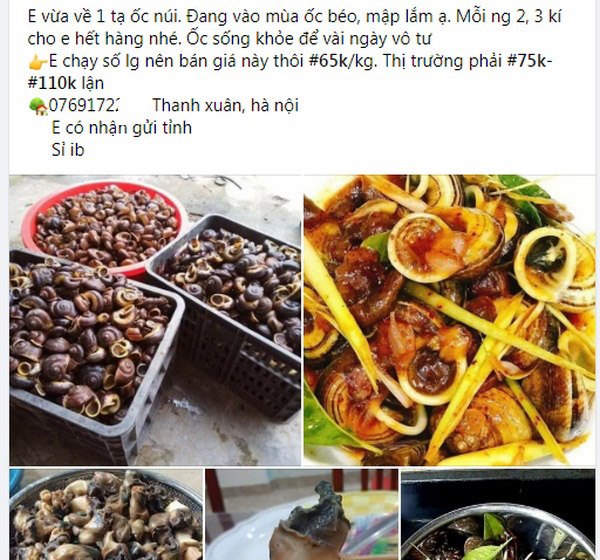 4 thứ amp;#34;lộc trờiamp;#34; cứ đến mùa là xuất hiện, bắt về đem bán thu tiền triệu mỗi ngày - 1