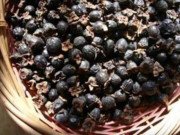 Tiêu dùng - Loại quả lạ có tên "bốc mùi" nhưng giá vài trăm nghìn/kg