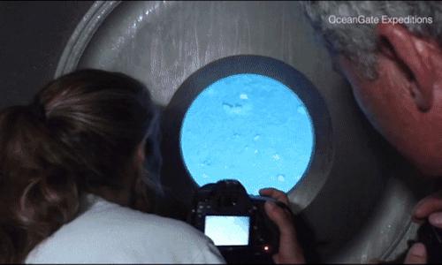 Clip Eva - Bất ngờ với tour khám phá xác tàu Titanic chìm sâu 3.800m dưới đáy đại dương