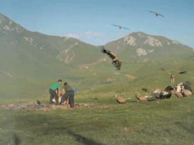 Ám ảnh với phong tục xẻ thịt người chết cho kền kền ăn ở Tây Tạng