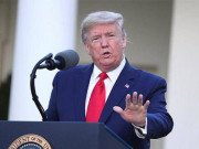 Tin tức - Tổng thống Trump gây xôn xao với mái tóc bạc màu "lạ thường" sau bầu cử