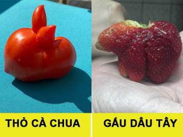 Loạt ảnh củ quả siêu thú vị hiếm người từng được chiêm ngưỡng