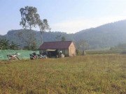 Tin tức - Vụ bố chồng đánh con dâu và 2 cháu nội ở Hà Tĩnh: Bi kịch bắt nguồn từ mảnh đất