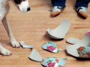 Nhà đẹp - Sáng ra nhà có những dấu hiệu này phải cẩn thận, đừng chủ quan