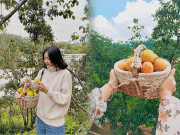 Xem ăn chơi - Về Đà Lạt mùa này chết mê với những vườn hồng đẹp lịm tim