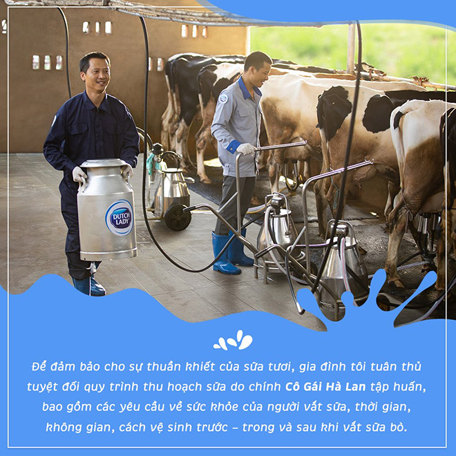 Nông trại hạnh phúc - nơi tạo ra dòng sữa tươi an toàn vượt chuẩn 11 lần - 9