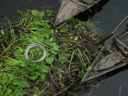 Clip Eva - Những nông trại nổi trên mặt nước đã giúp nông dân Bangladesh đối phó với ngập lụt ra sao?