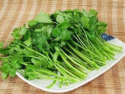 Bếp Eva - Mua nhiều rau mùi, đừng cho ngay vào tủ lạnh, thêm vài bước nữa để nửa năm vẫn xanh tươi
