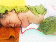 Làm mẹ - Đắp lá trầu không cho trẻ sơ sinh có tác dụng gì?