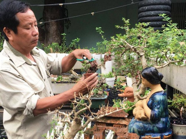 Lão nông Khánh Hòa sở hữu 4.575 cây bonsai mini khủng độc, lạ đạt kỷ lục thế giới