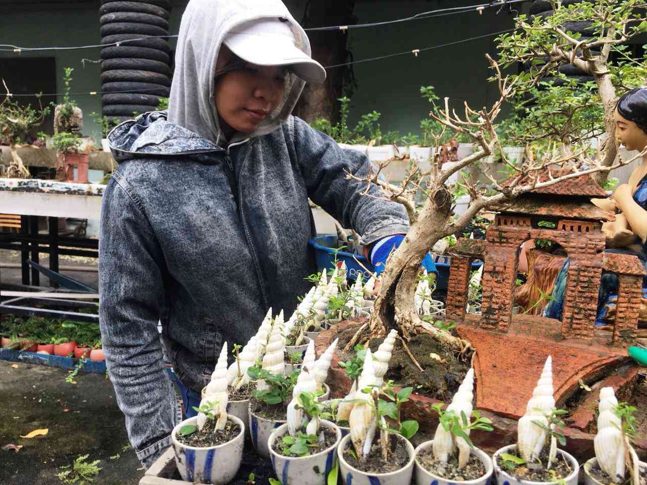 Lão nông Khánh Hòa sở hữu 4.575 cây bonsai mini “khủng” độc, lạ đạt kỷ lục thế giới - 5