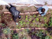 Clip Eva - Mô hình kinh doanh đã cứu sống những người vô gia cư tại San Francisco