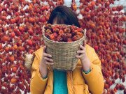 Xem ăn chơi - Thứ quả quê mùa được “biến tấu” thành đặc sản vạn người mê có giá nửa triệu đồng/kg
