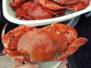 Bếp Eva - Hấp cua, gái Quảng Ninh mách 1 chiêu khiến cua ngon, không bao giờ rụng càng, bảo quản được lâu