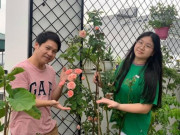 Nhà đẹp - Trọng Tấn khoe góc vườn trên sân thượng, mọi sự chú ý lại đổ dồn về 1 người này