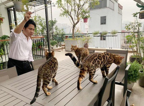 Trọng Tấn khoe góc vườn trên sân thượng, mọi sự chú ý lại đổ dồn về 1 người này - 4