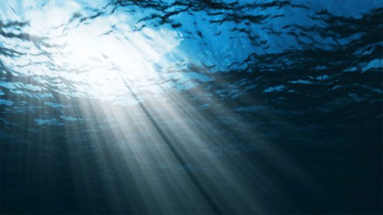 4 mẩu truyện ngắn đáng suy ngẫm sẽ thay đổi cuộc đời bạn - 2