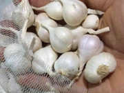 Mẹo hay nhà bếp - Bảo quản tỏi, chỉ cần thêm thứ này, để 2 năm không mốc hỏng hay mọc mầm