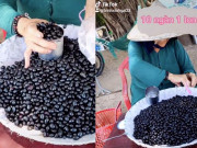 Xem ăn chơi - Loại quả trông như nho chỉ có ở quê được người thành thị lùng sục tìm mua