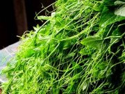 Xem ăn chơi - Những loại rau xưa chẳng thèm ăn giờ thành đặc sản