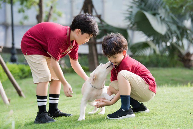 Sao Việt 24h: Lời dặn dò cuối cùng của Chí Tài với Tăng Thanh Hà và nhiều đồng nghiệp - 12