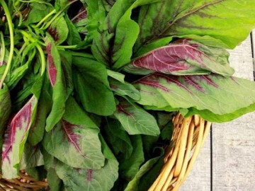 8 điều khó tin về thực phẩm: Rau giàu canxi hơn sữa, đồ uống gây mất ngủ hơn cà phê