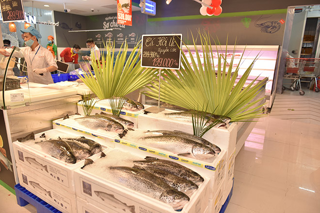 Khai trương siêu thị VinMart Ocean Park – tươi ngon thượng hạng, khuyến mại ngập tràn-5